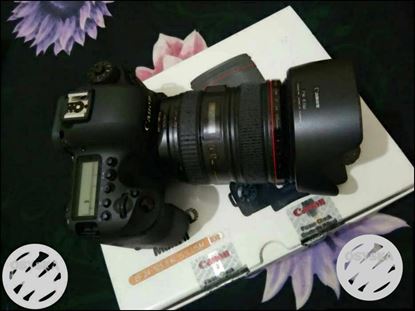Canon 6D mark 2 8 manth old 98889:25257