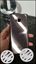 Samsung S8 + , S8 Plus , 4Gb Ram and 64Gb Storage space.