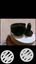 Samsung gear S2 watch i have used it very few