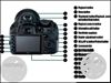 Nikon D3100 DSLR For Rent (Tripod Included)