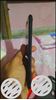 Very new One Plus 5 midnight black 8GB 128 GB