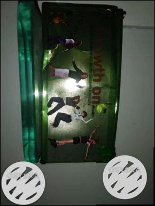 Green Cardboard Box
