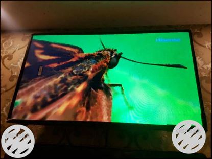 Special sale /32 inch Smart android led TV