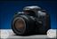 Canon 77D For Rent With Photographer