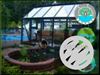 Outdoor Pond with Greenhouse