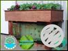 Outdoor aquarium with vegetation