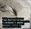 Picture of Supply Name:2-Bromo-4'-methylpropiophenone CAS Number： 1451-82-7