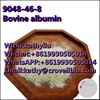 Picture of CAS 9048-46-8 Bovine albumin/Bovine serum albumin with factory price 8619930505014