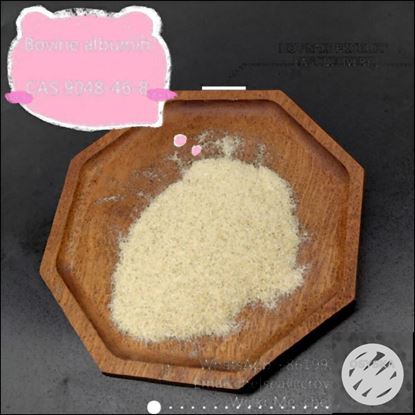 Picture of Factory Bovine albumin price CAS 9048-46-8 from China suppliers.WhatsApp:+8619930503930