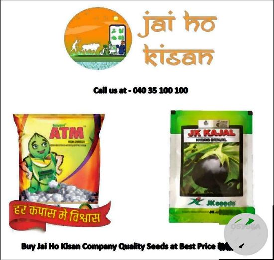 Buy Jai Ho Kisan Company Quality Seeds at Best Price in India