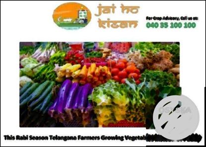 This Rabi Season Telangana Farmers Growing Vegetables Instead Of Paddy