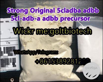 Original 5cladba 5cl-adb-a buy old adbb adb-butinaca precursor China vendor Wickr me:goltbiotech